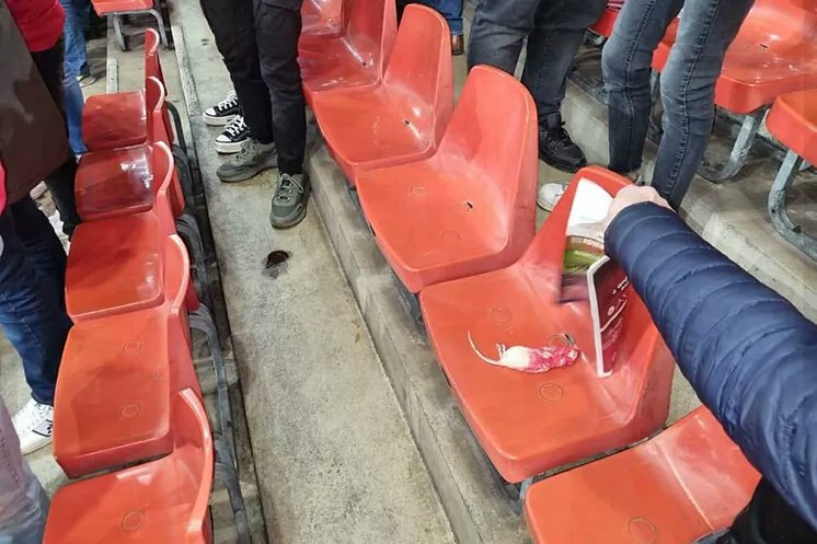 ¡Insólito! Hinchas arrojaron ratas muertas a la otra parcialidad en pleno clásico de Bélgica