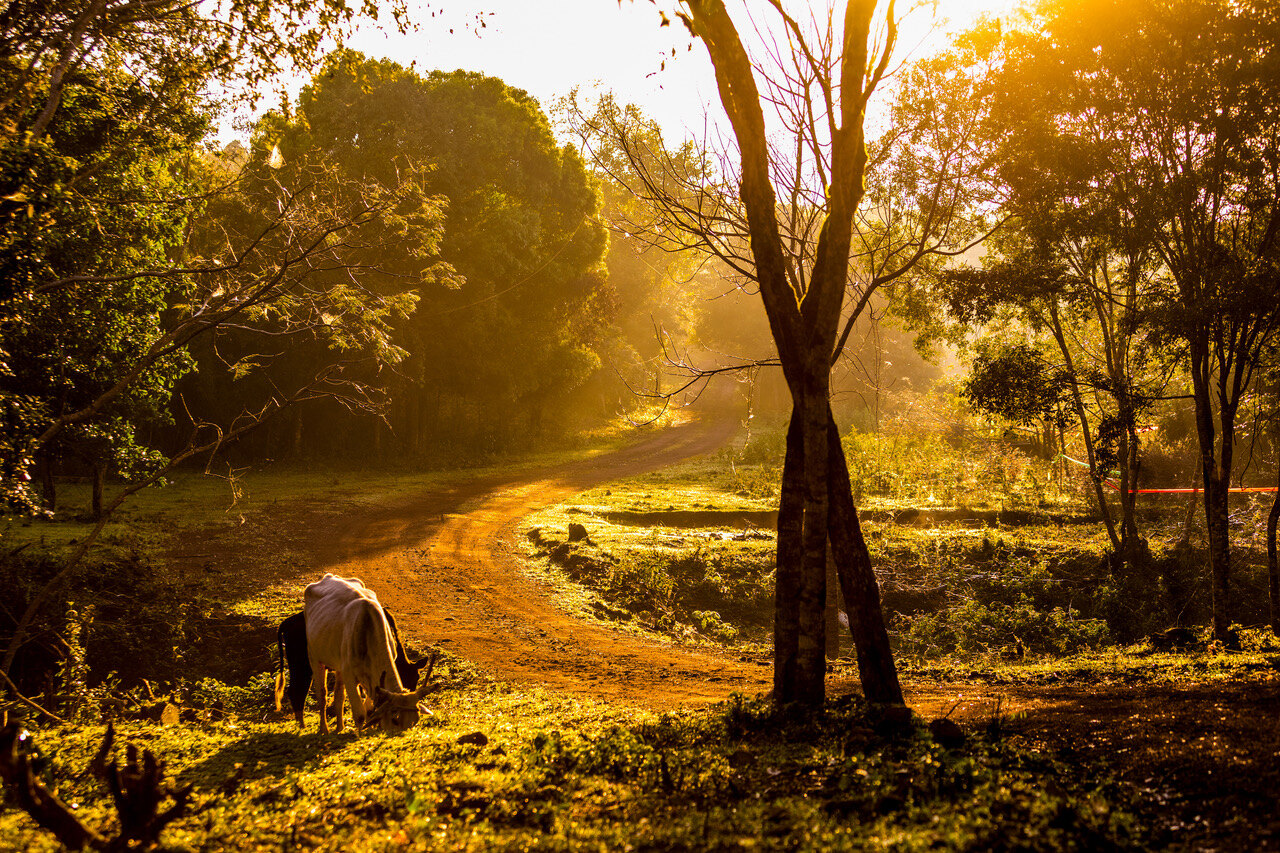 ¡Arranca la histórica fiesta del Rally Mundial en Paraguay!