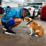 Hamilton agradece la "abrumadora" respuesta al fallecimiento de su perro Roscoe